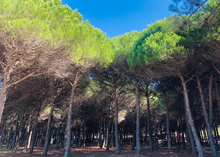 アパート Seaside Laguna