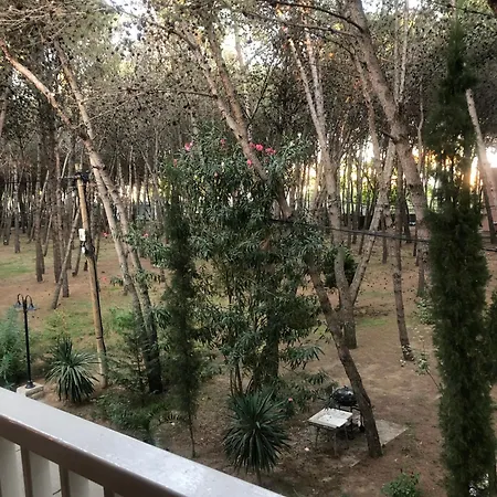 Seaside Laguna * Golem (Tirana)