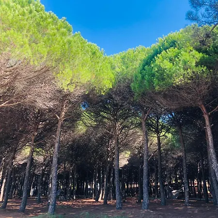 Lägenhet Seaside Laguna